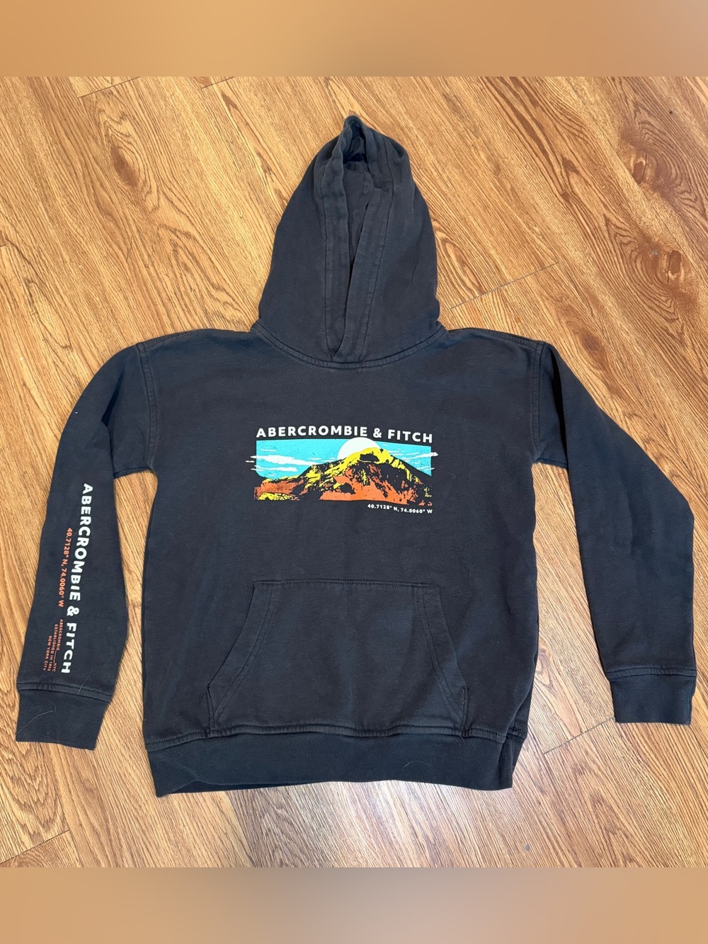Abercrombie & Fitch Pullover Hoodie with Multicolor Mountain Graphic